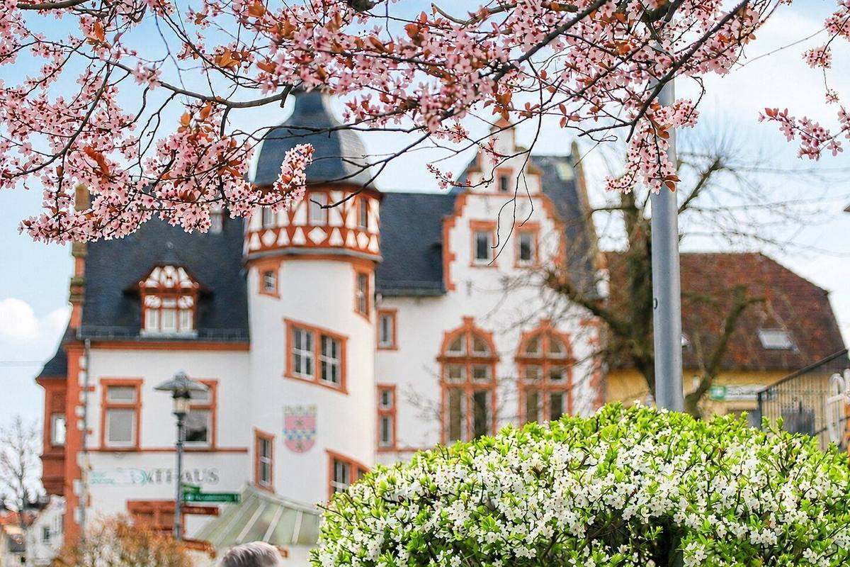 Rheinhessische Ortslage im Umfeld des Quartiers