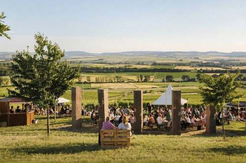 Weinberge und Felder prägen das rheinhessische Umfeld